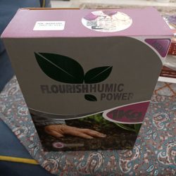 سید علی باباتبار میری از بابلسر