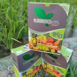 اسماعیل معقولی از محمودآباد