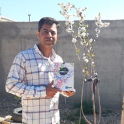 علی جوکار از زرقان