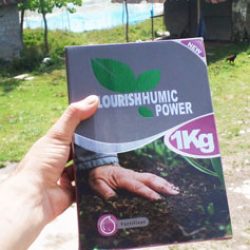 محمد جوینده از شفت