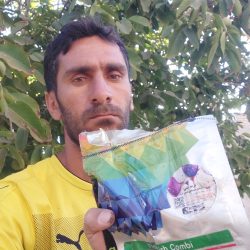 سجاد از مرودشت