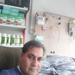 علی اکبری از طارم