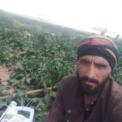 علیرضا رستمی از تربت حیدریه